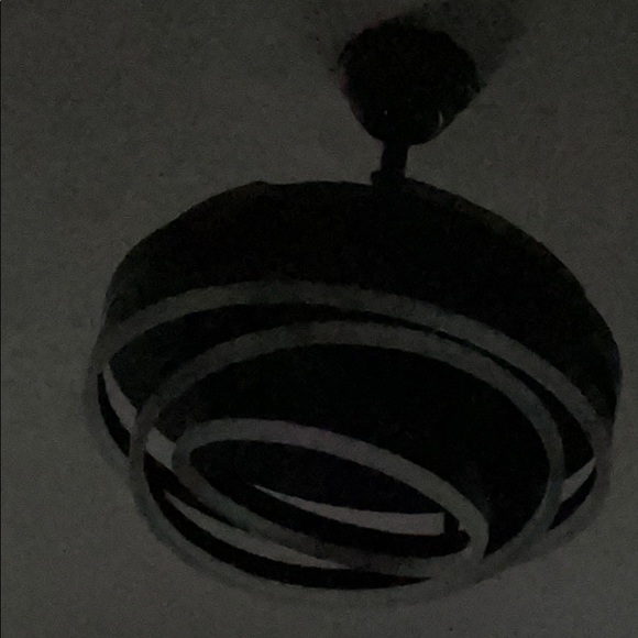 Meet your Posher, Zuleika - Picture 1 of 1